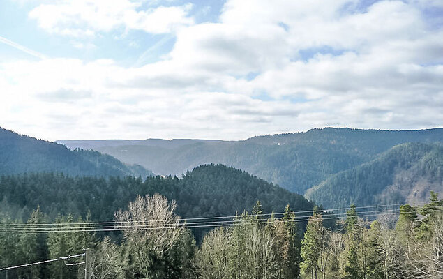 Biohof Herrenweg - Photo 14