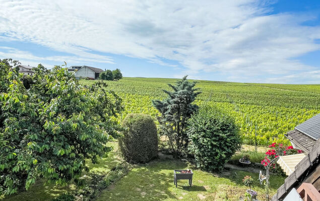 Weinbergblick - Photo 7