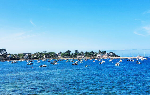 Villa Lanka - Photo 31