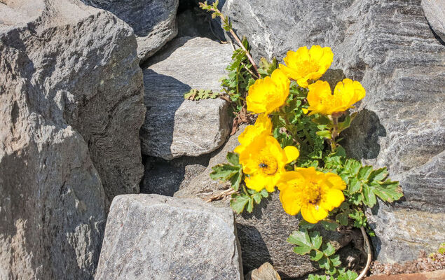 Weissbachergut - Photo 25