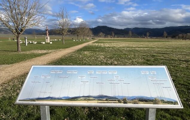 Schwarzwaldchalet de luxe mit Sauna - Photo 30